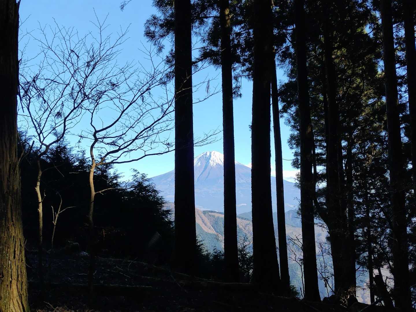 思親山（上佐野集落）＜佐野峠＞の写真