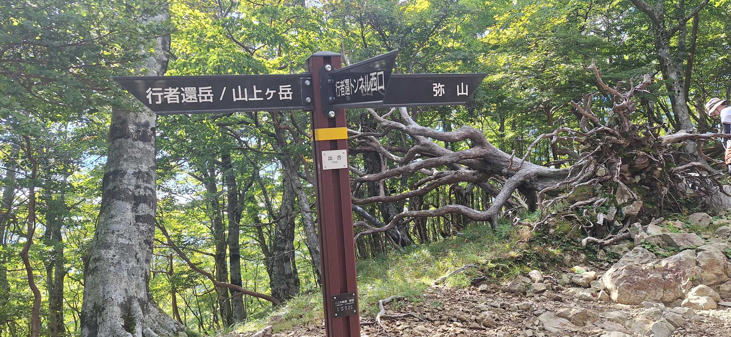 左には行きたい山が続きますが今回は右方向を歩きます🥾