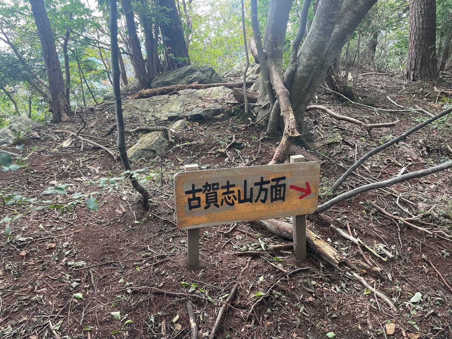 古賀志山方面向かいます！