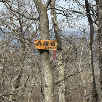 八坂山⛰️
