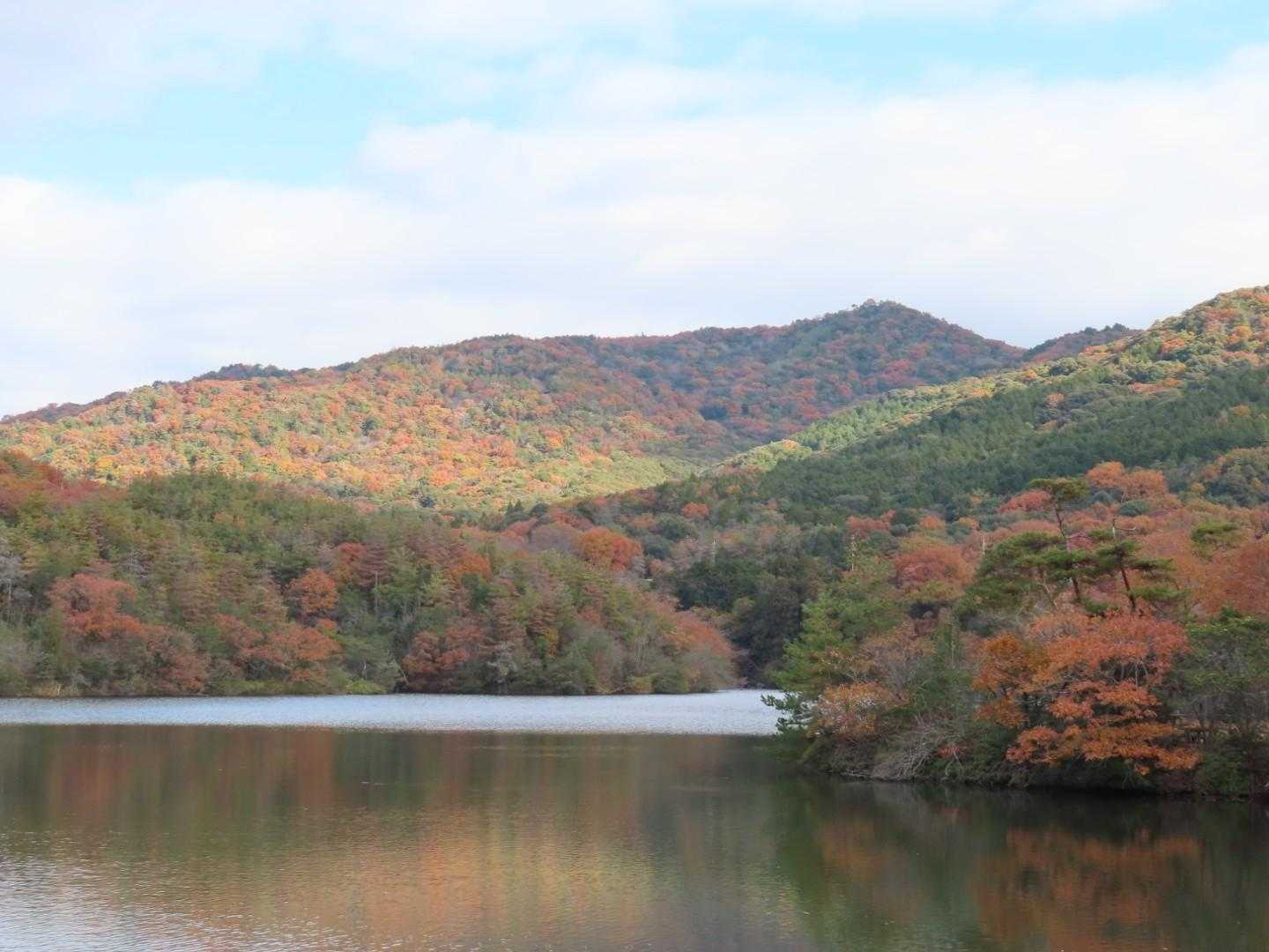 弥勒山紅葉しててとっても、綺麗✨
今日は登りません🤭