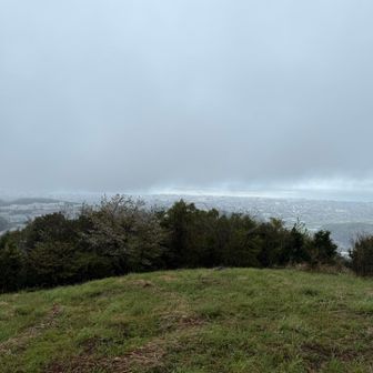 大村湾の絶景。心がキレイな人には見えるそうです。