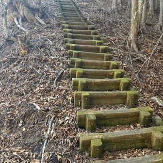 一旦峠に付いて階段を登って再スタート。