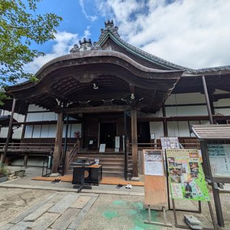 しっかり参拝します🙏