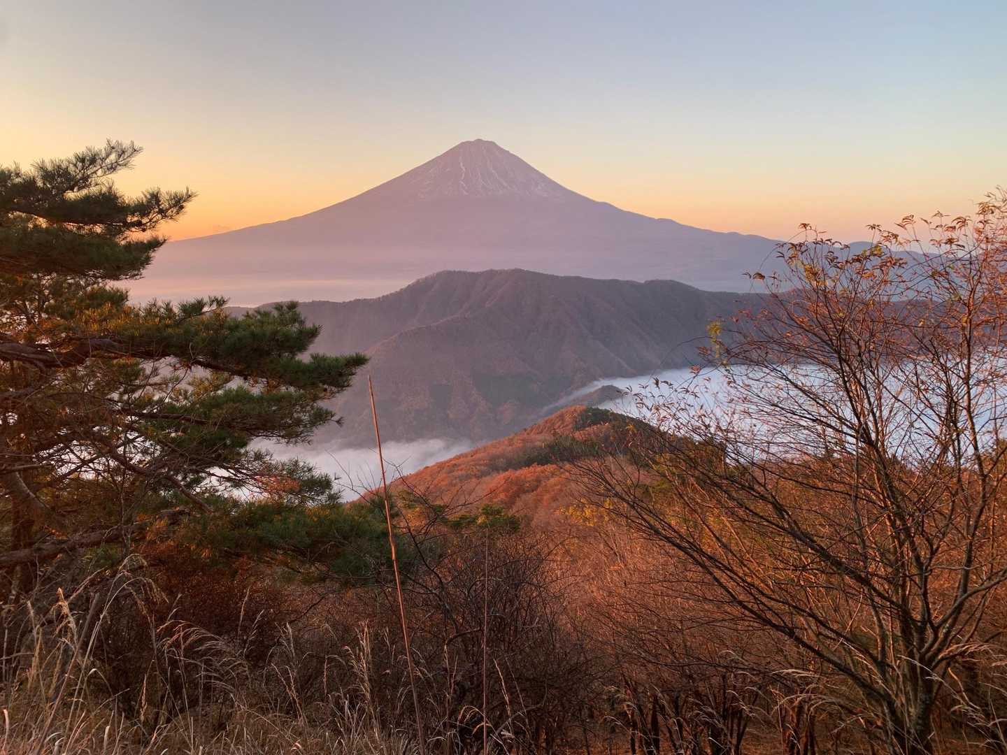 富士山と雲海が素晴らしい👏