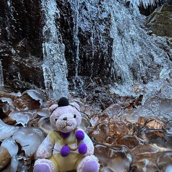 クマブシくんの修行🧘ということで笑