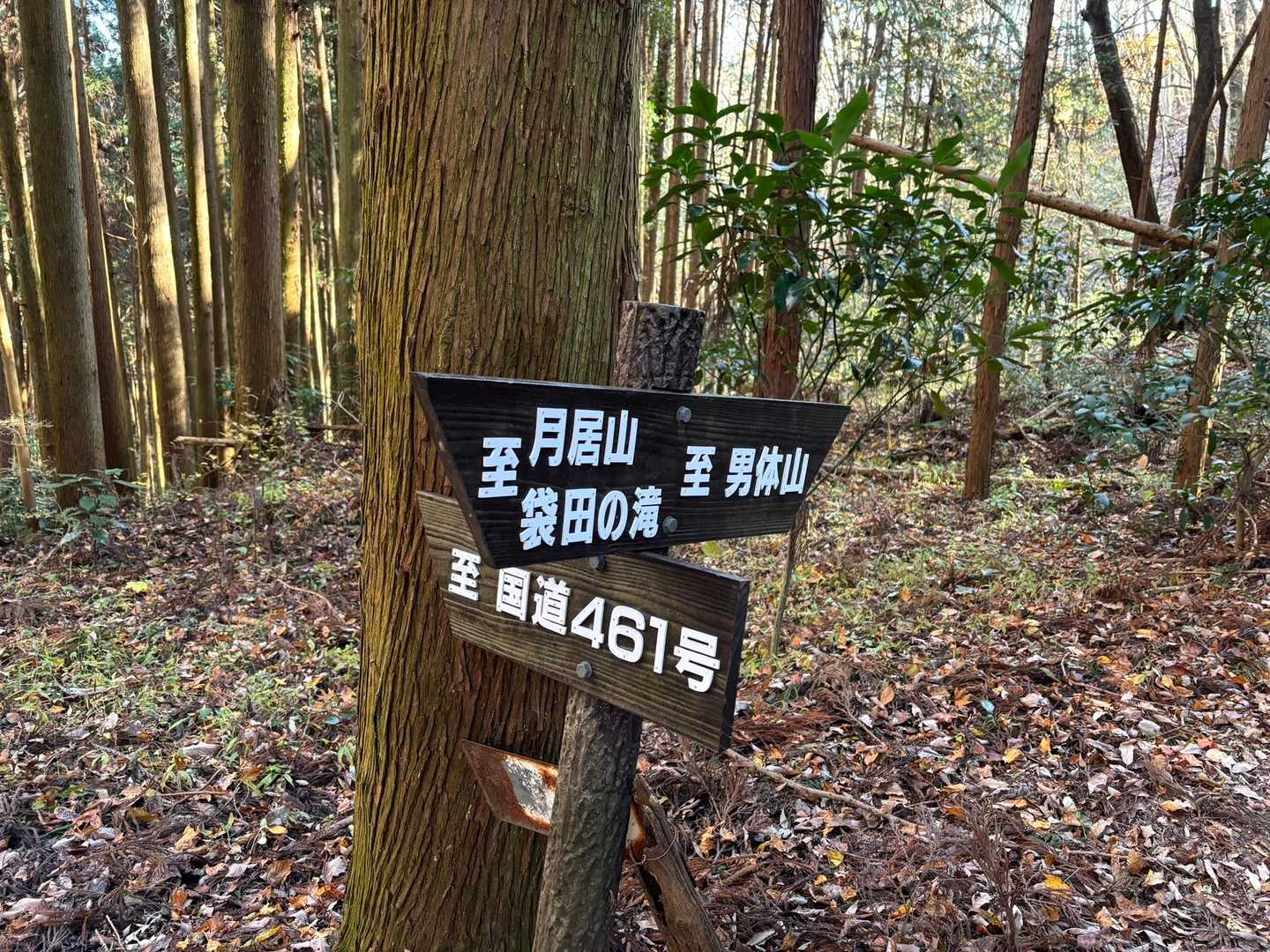 月居山へ
