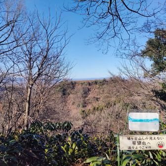 展望台からの城ヶ平山