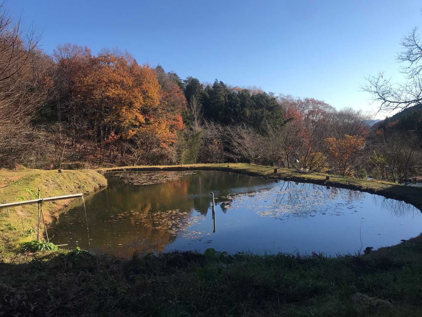 鍬柄岳登山口-鍬柄岳-大桁山-大桁山登山口-川後石峠 周回コースの写真