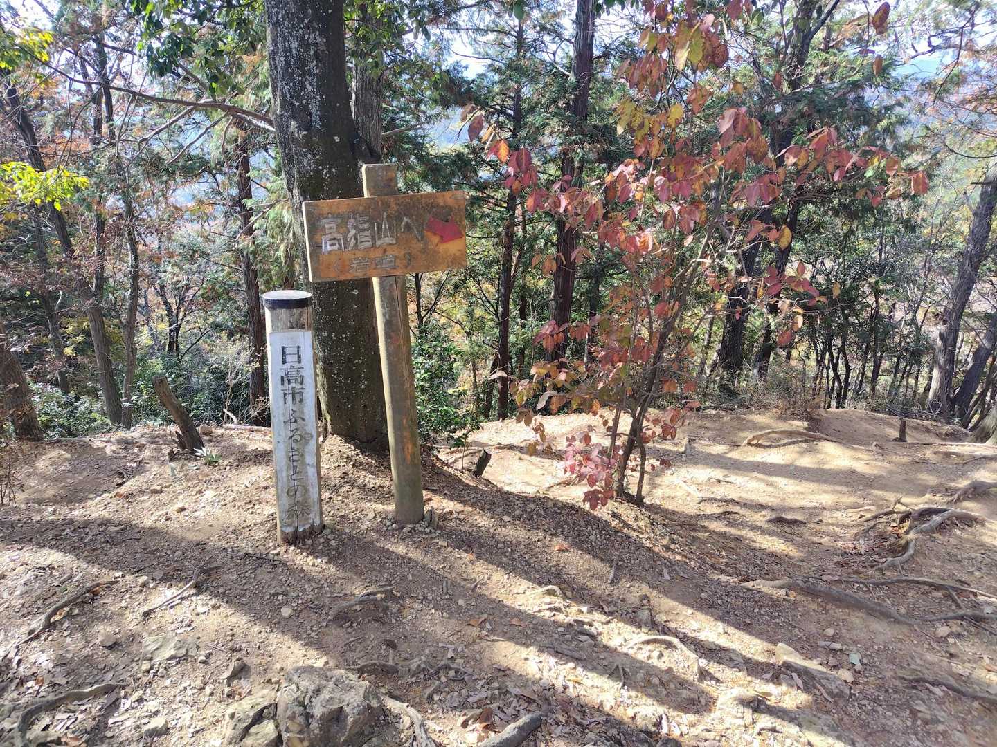 高麗駅バス停-高麗駅-台-水天の碑-日和田山登山口-金刀比 往復コースの写真