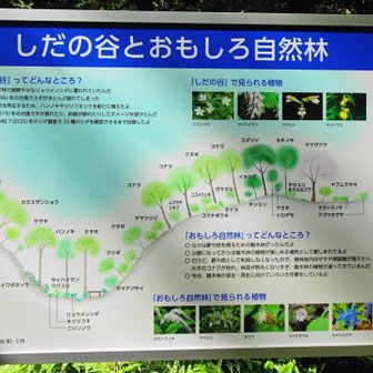 おもしろ自然林も興味はありましたが、階段を結構登って行くような道でしたので立寄りませんでした。