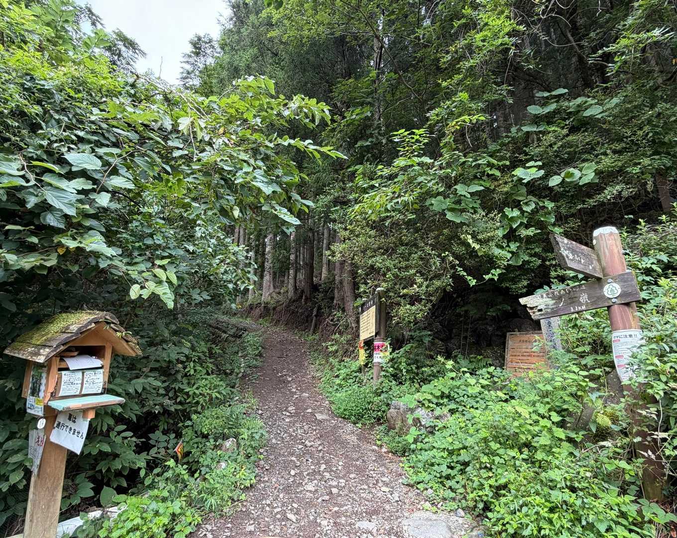 登山口

皆さん、登山届出しましたか？
→はーい、記入してBOXに投函しました🙋‍♀️