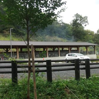 　新しく出来た学習施設では何やら歓声が、子供達がバーベキューをやっているようです。
うーん、そろそろ涼しくなってくるのでうちもバーベキューも良いかな。