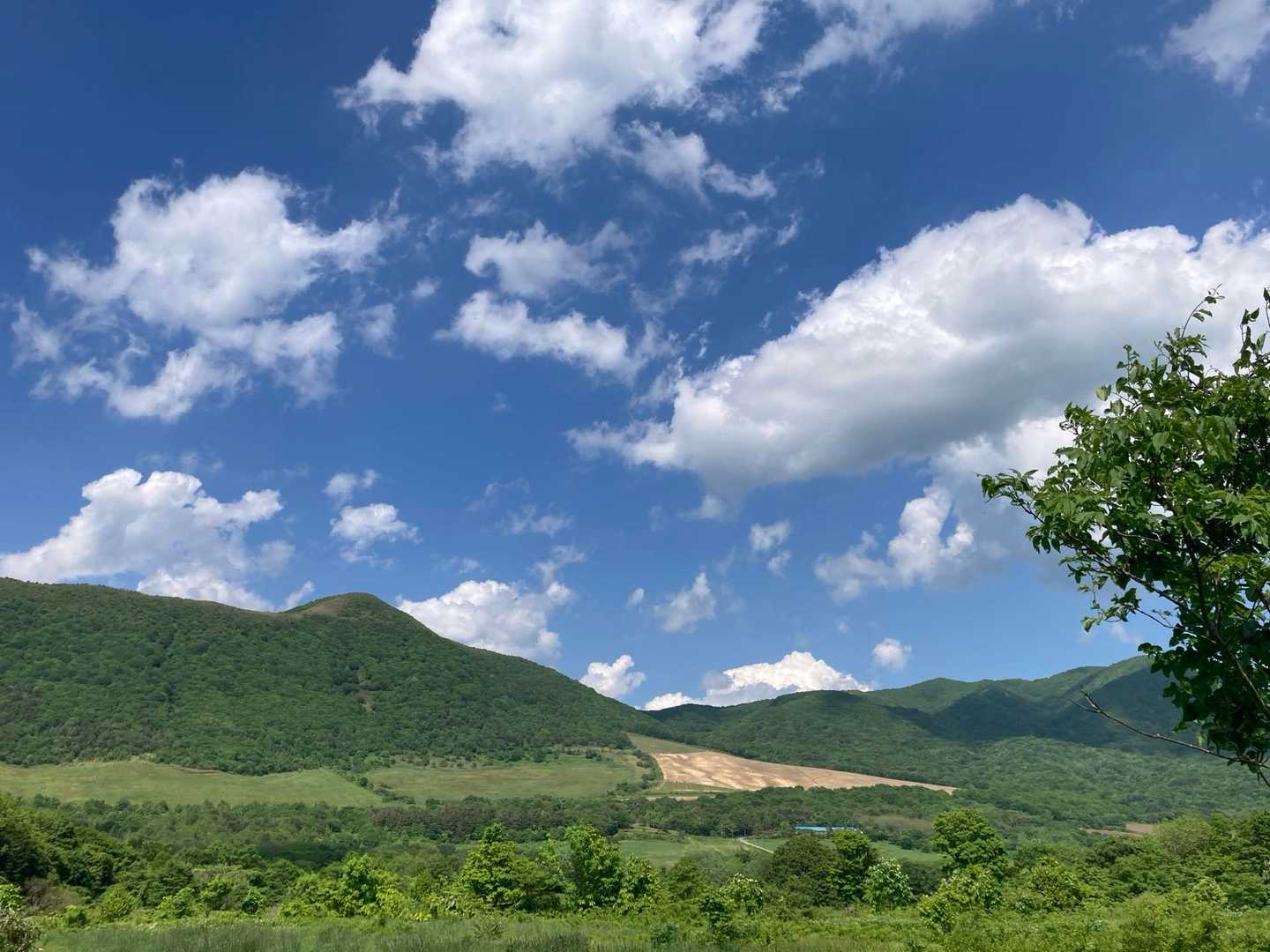 七時雨山 田代平高原コースの写真