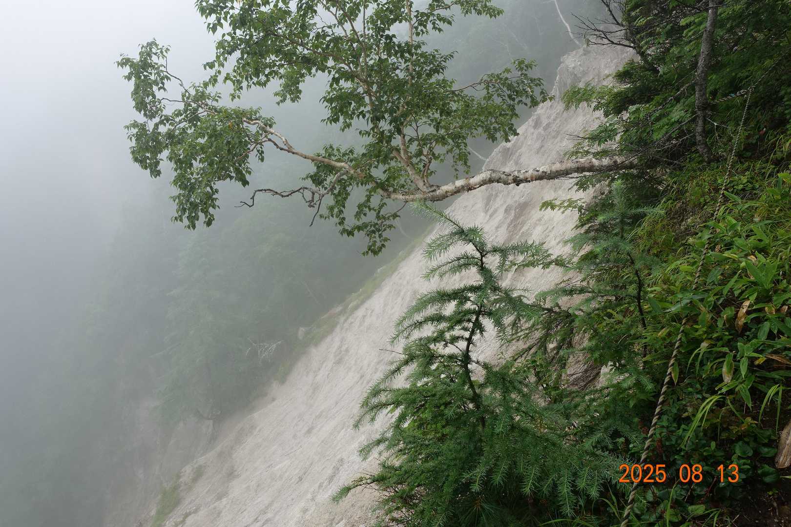 白沢登山口-大凪山-餓鬼岳 往復コースの写真
