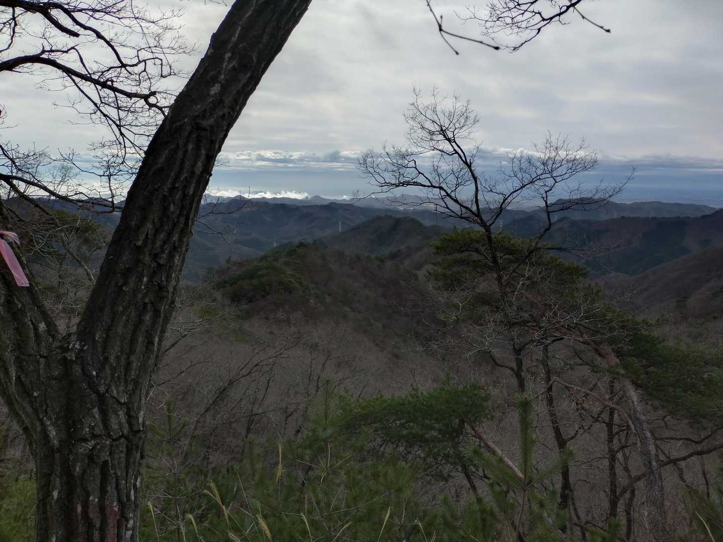 肺結核　ハイ失格