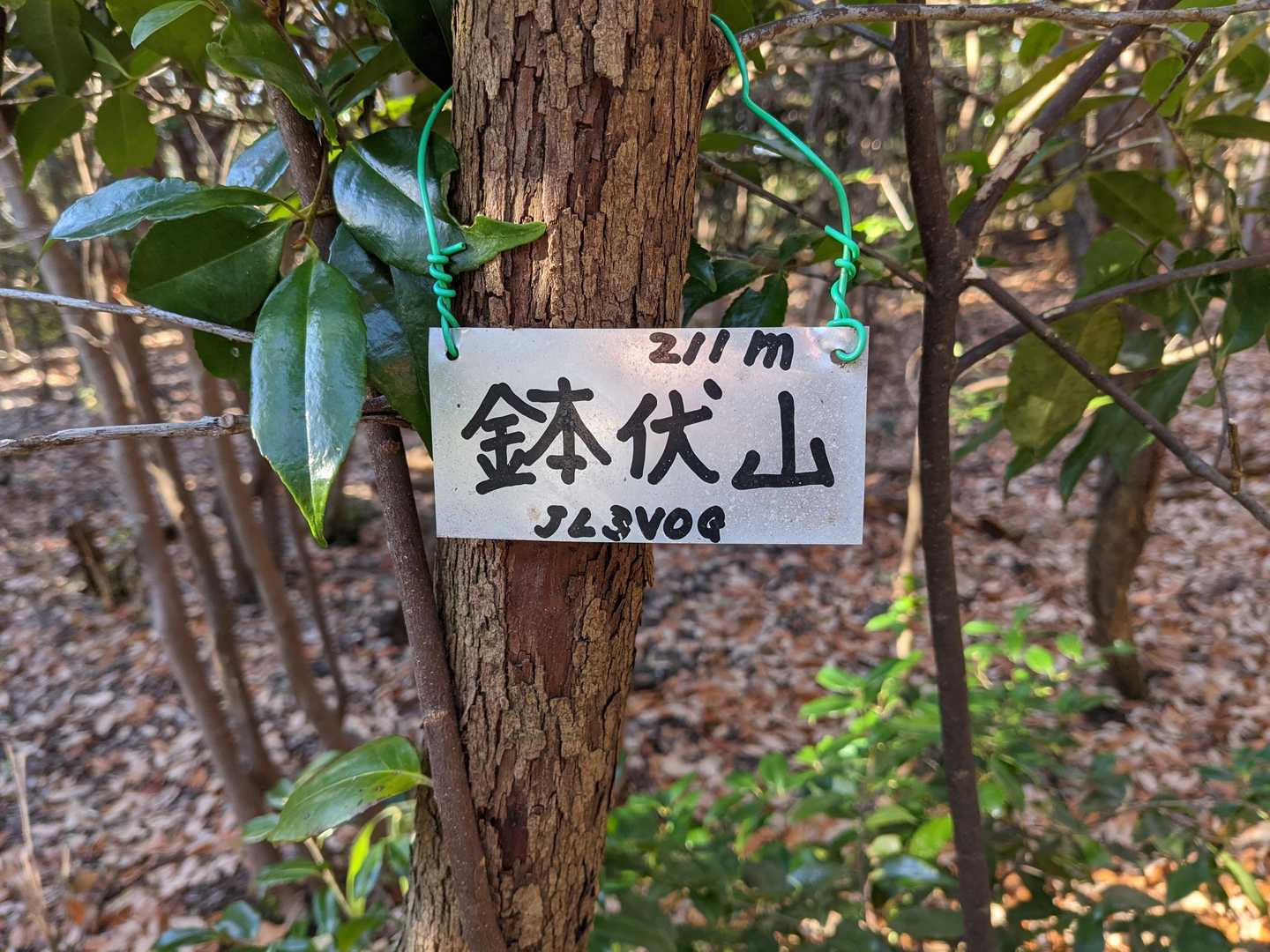 登頂▲