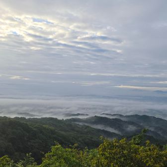 雲海☁️☁️
大岩展望台から📸