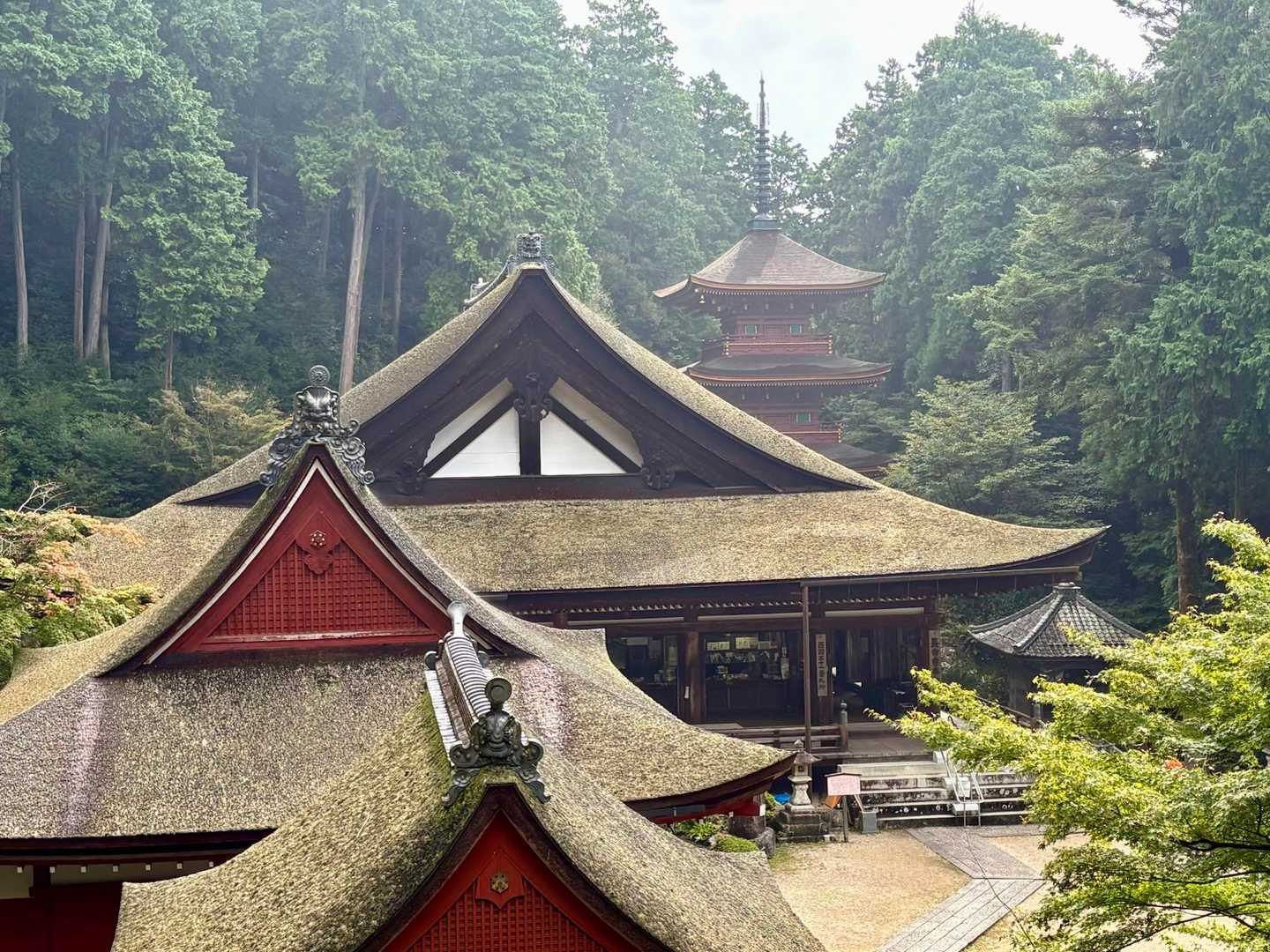 如法行堂からの眺め。檜皮葺の屋根の重なり…その奥に三重塔が見える。こらは素晴らしいな！時が止まったみたいです。