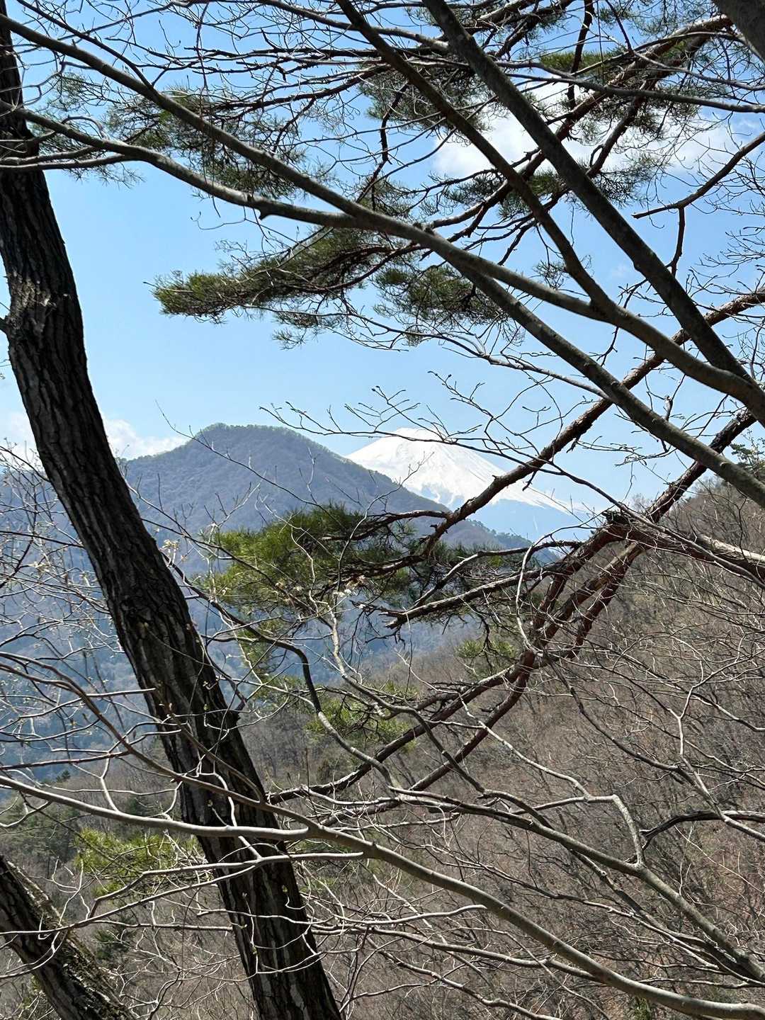 富士山🗻かくれんぼ🙈
手前は「高川山」かな