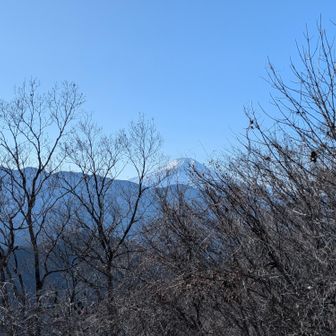 うーむ、倉岳山からは冬しか富士山は見えなそうな…
秀麗富嶽はちょいちょい見晴らしイマイチなところが混じってます