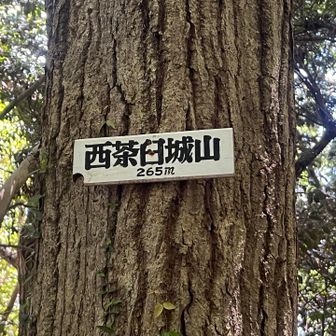 次は？