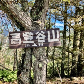 到着。