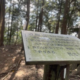 道樹山山頂