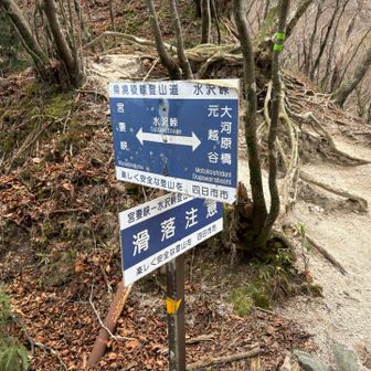結構、満足感のある山行で、あと寝不足だから
入道ヶ岳はおあずけ！
下りますが、滑落注意だって⚠️