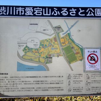 テント張りたくなる場所だもの～⛺️❌