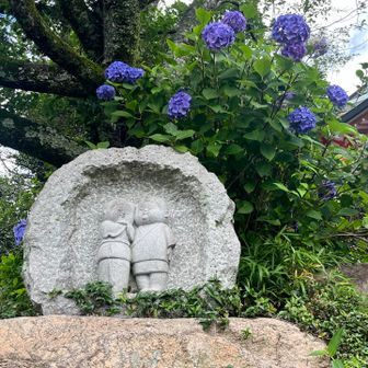 ここの紫陽花はまだこれらか😄

梅雨の合間に
少しでも歩けてよかった🤗