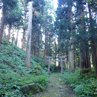 鳥居を抜け