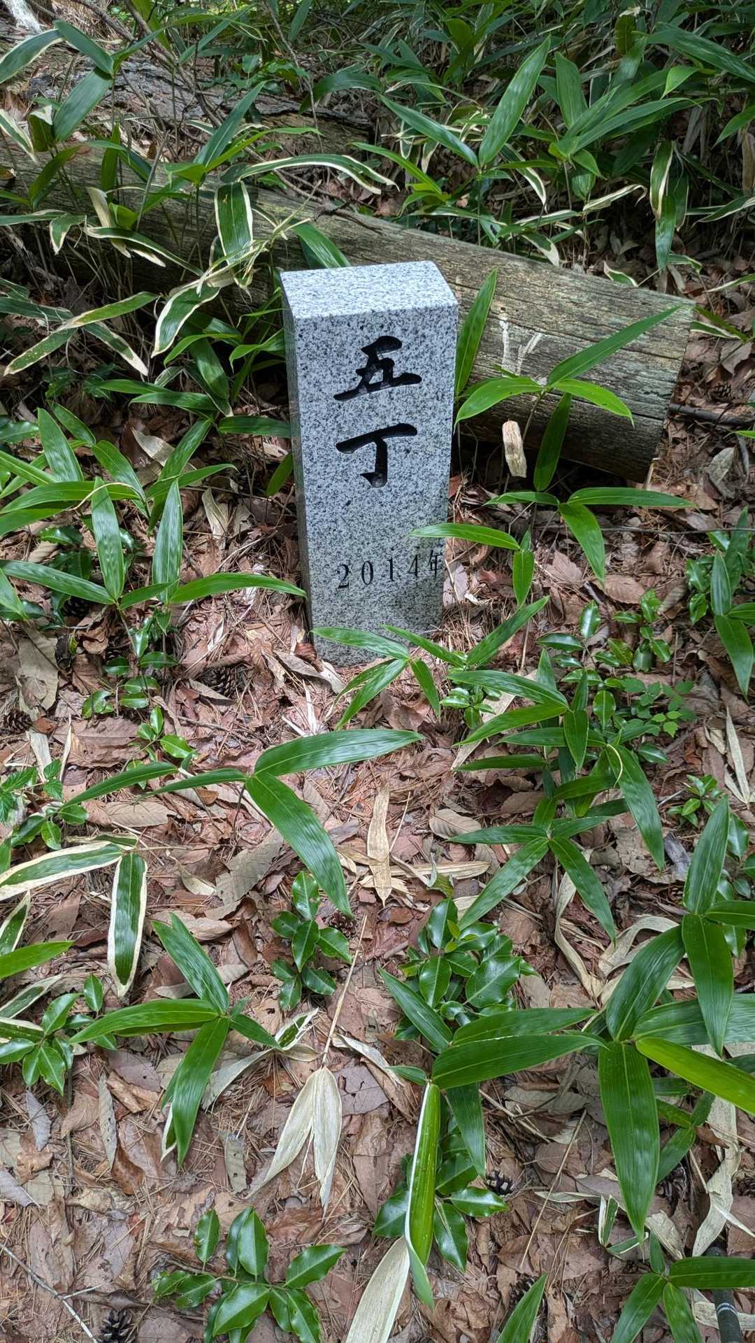 ダブルサプライズはなかなか難しく
