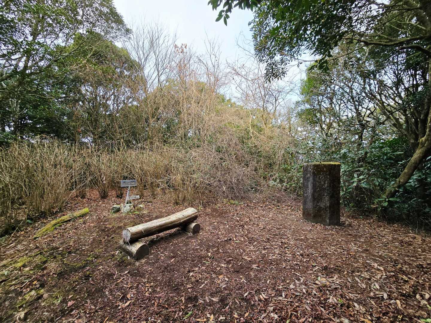 全国に48カ所あった天測点のひとつがここに。確か大分県の元越山（九州百名山）にもあったと思う…