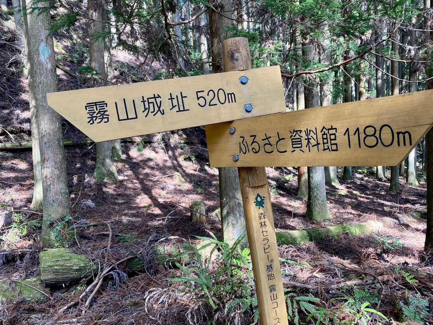 霧山-霧山城跡 往復コースの写真