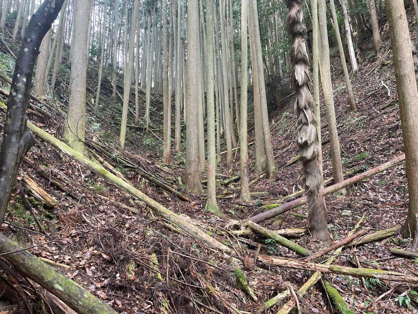 え？？
