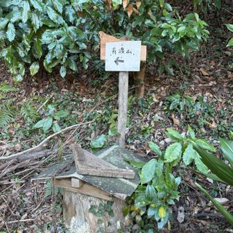 有渡山あっち←