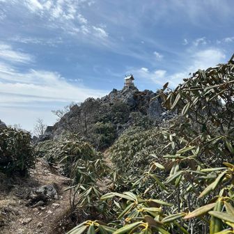 おっ！頂上見えた👀