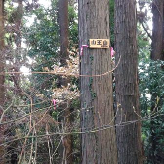 山王山