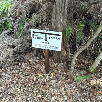 看板も頼りに