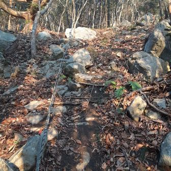 キツっ！最低最恐低山🗻