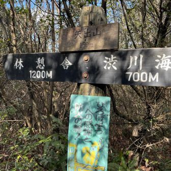 矢出山159m。渋川海岸方面へ下山します。