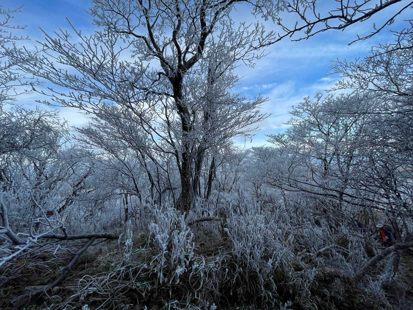 神原登山口-国観峠-祖母山 往復コースの写真