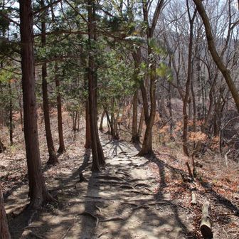 強風が吹き荒れる道を行きます。
