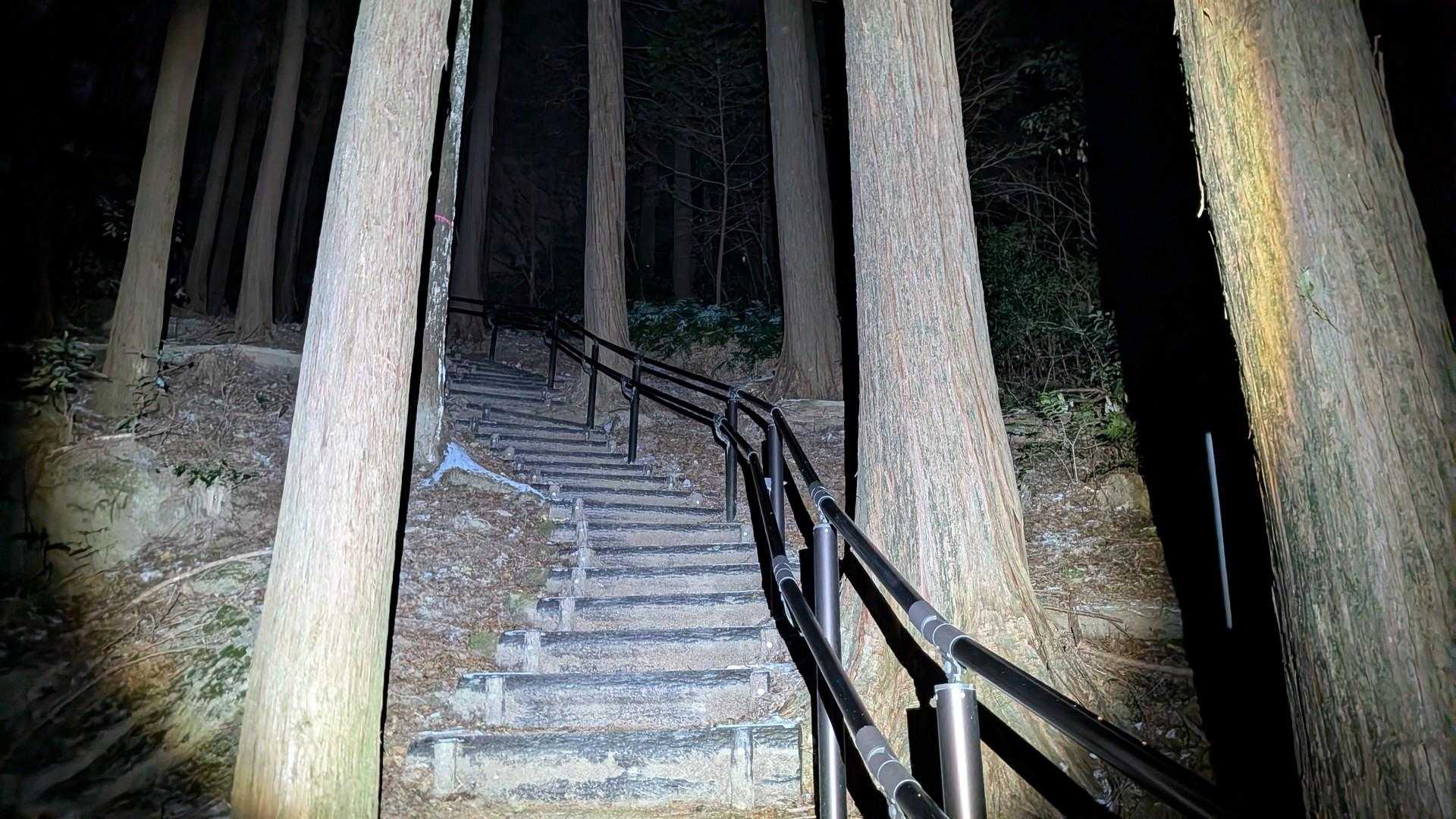 誰もいない。
結局行きも帰りもこの登山道では人に会わずでした