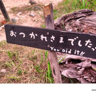嬉しい看板