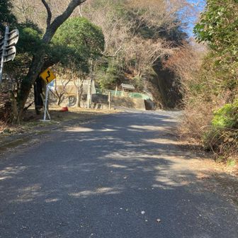 この先の左に登山道があるのですが、夕方の飲み会があるので、撤退😅