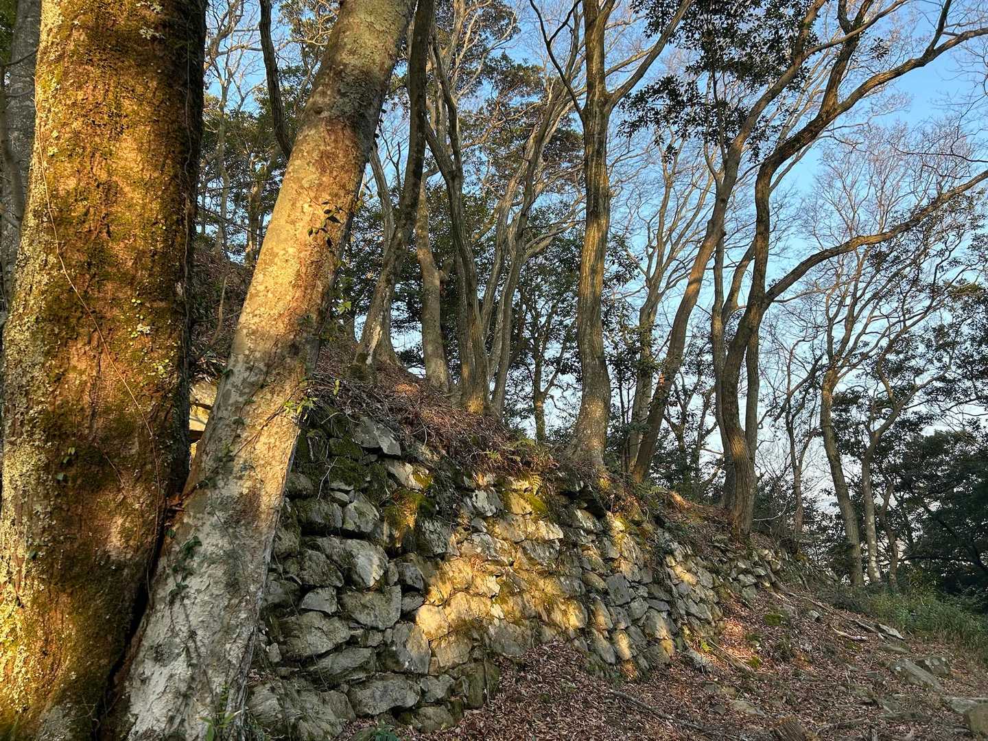 鴻ノ峰 往復コースの写真
