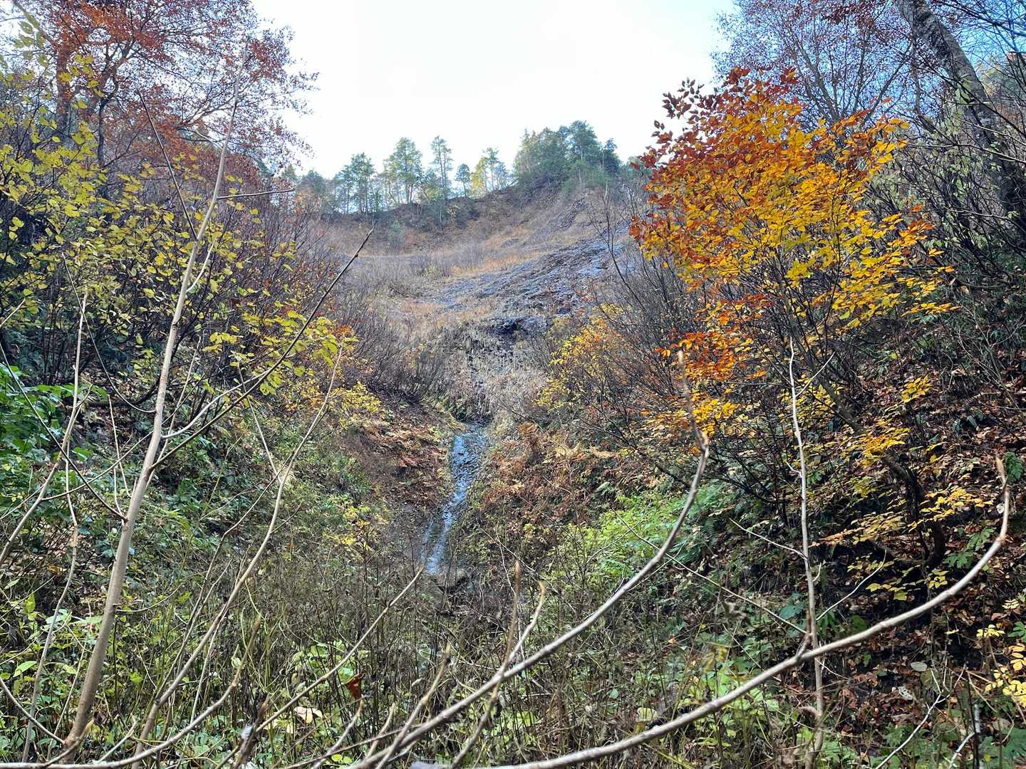 よく見る写真ですが、ここは登りません。
皆さんの画像見てハラハラしてました（爆）