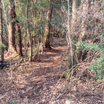 いつもと違う登山口からスタート🥾